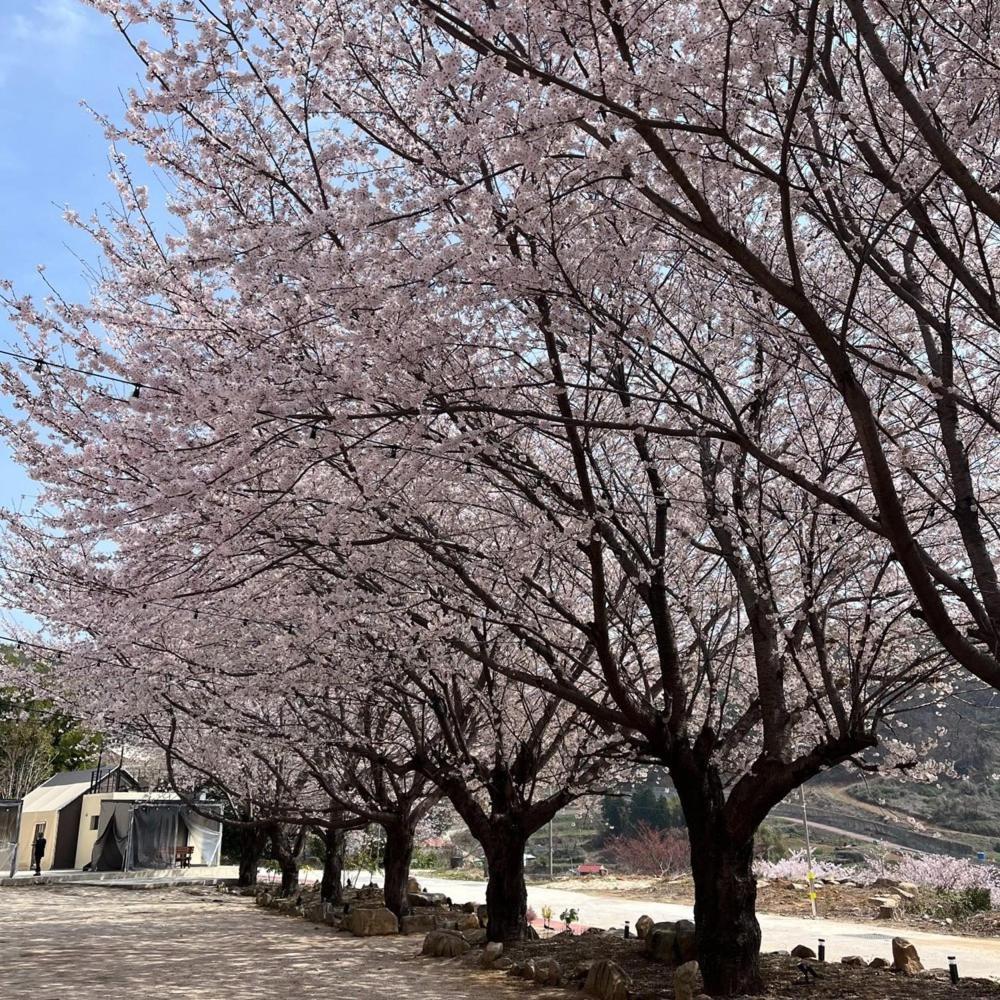 Namhae Siseon Glamping Pension Room photo